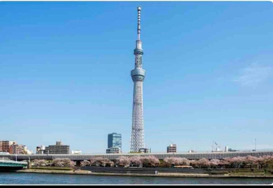 Momo Palace Prefektura Tokio Pokoj fotografie